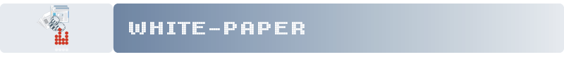 White Paper